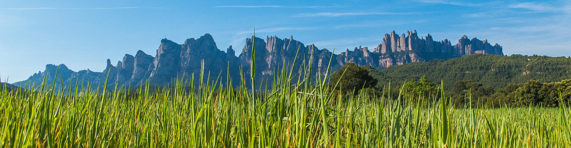 Ruta de les Ermites Romàniques. Marganell