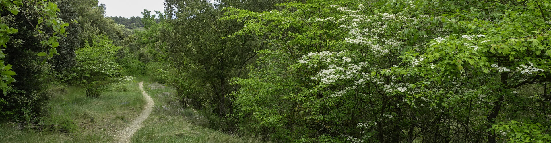 Rutes natura a Calders