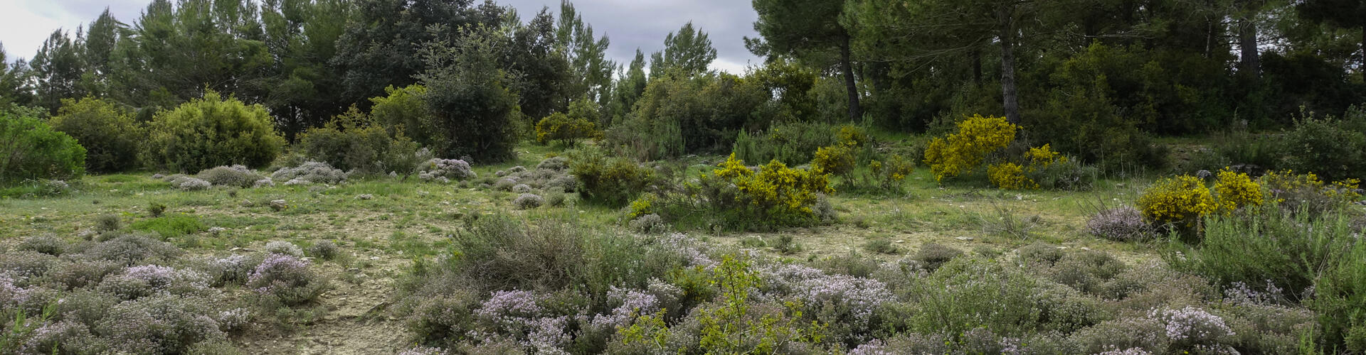 Rutes natura a Calders