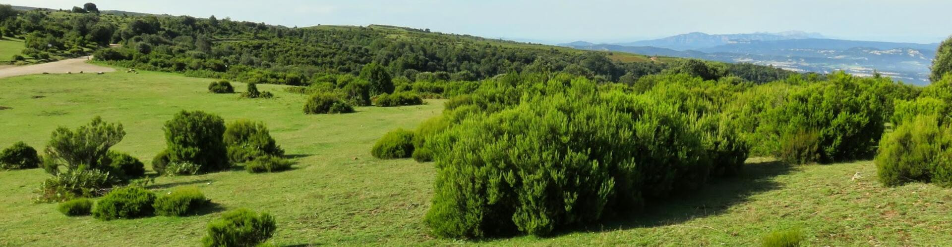 Rutes EL Brull
