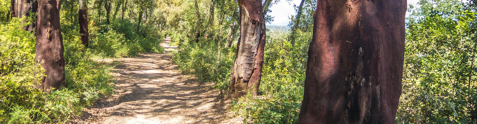 Ruta-Joc de les Serres i les Guineus