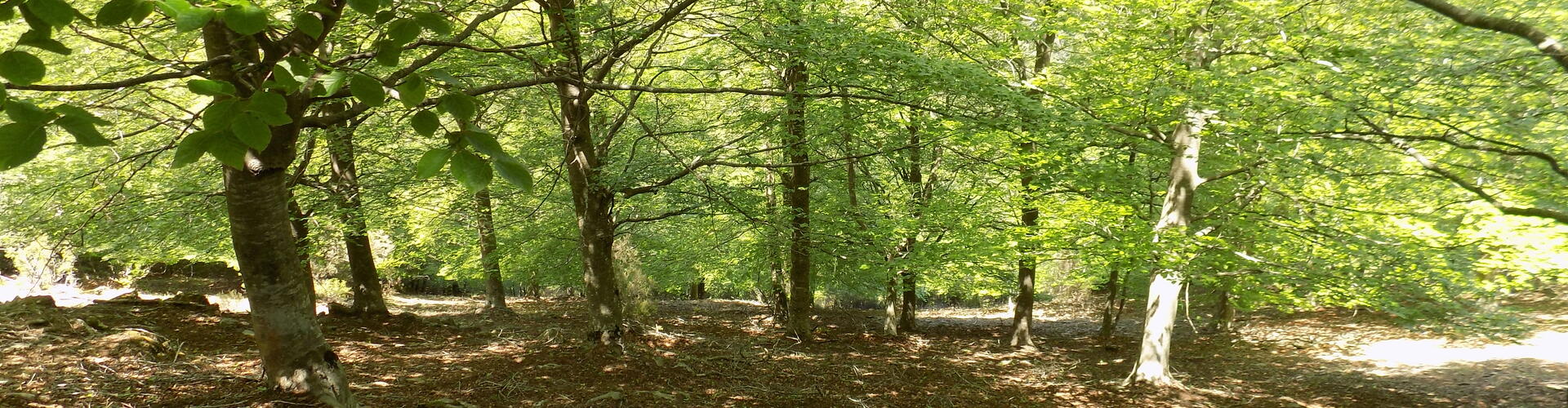 Rutes El Brull