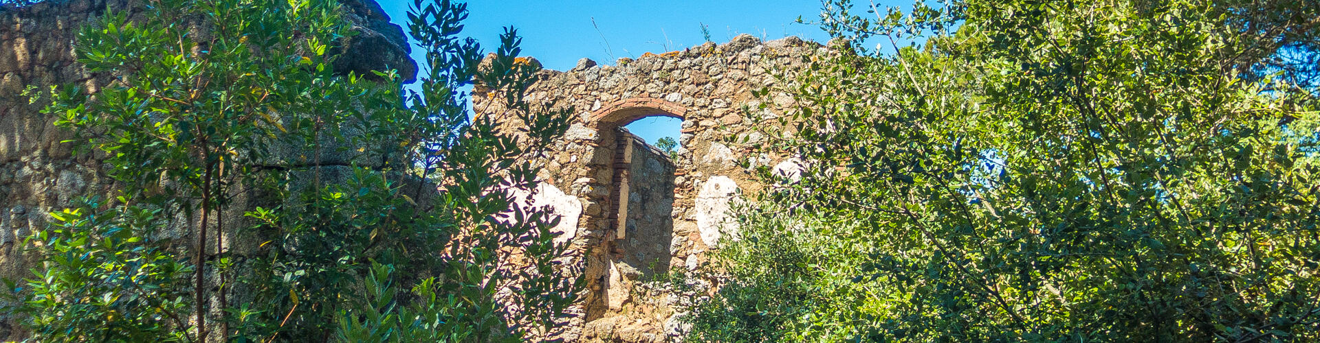 Cim del Montalt. Sant Vicenç de Montalt