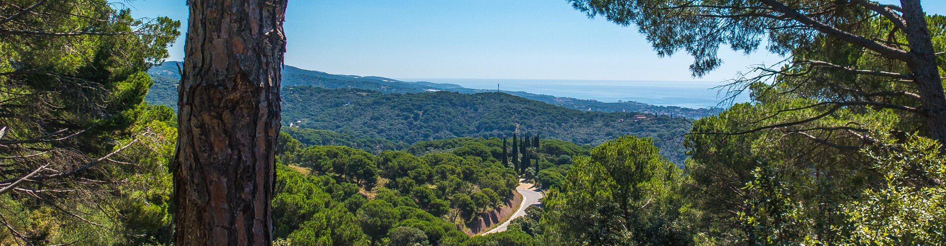 Cim del Montalt. Sant Vicenç de Montalt