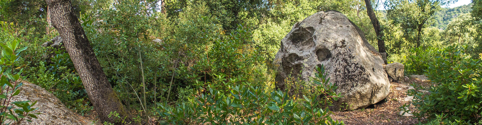 RUTA ROCS DE MORO. SANT VICENÇ DE MONTALT