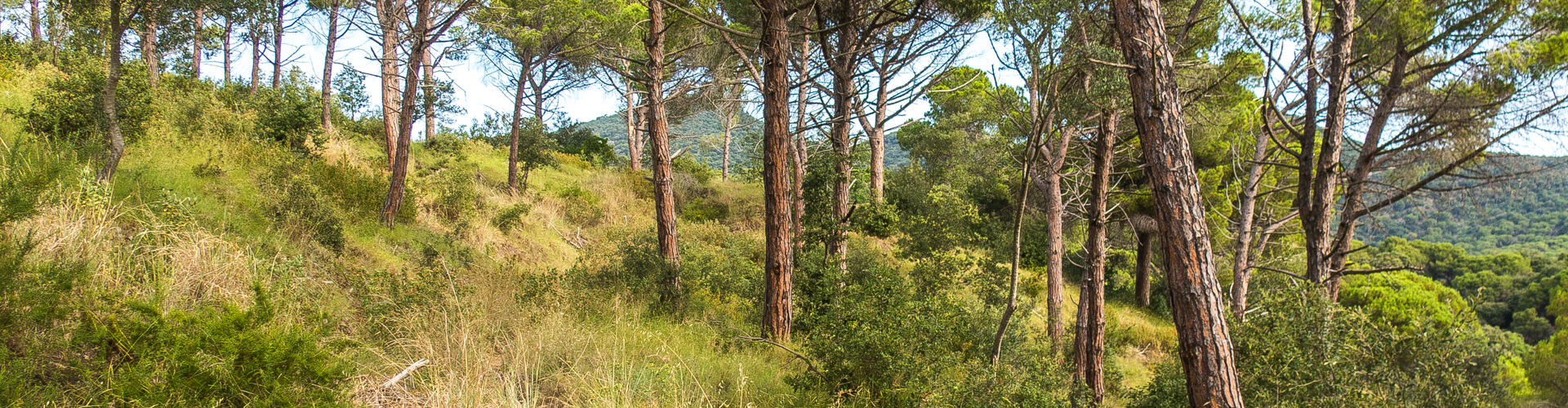RUTA ROCS DE MORO. SANT VICENÇ DE MONTALT