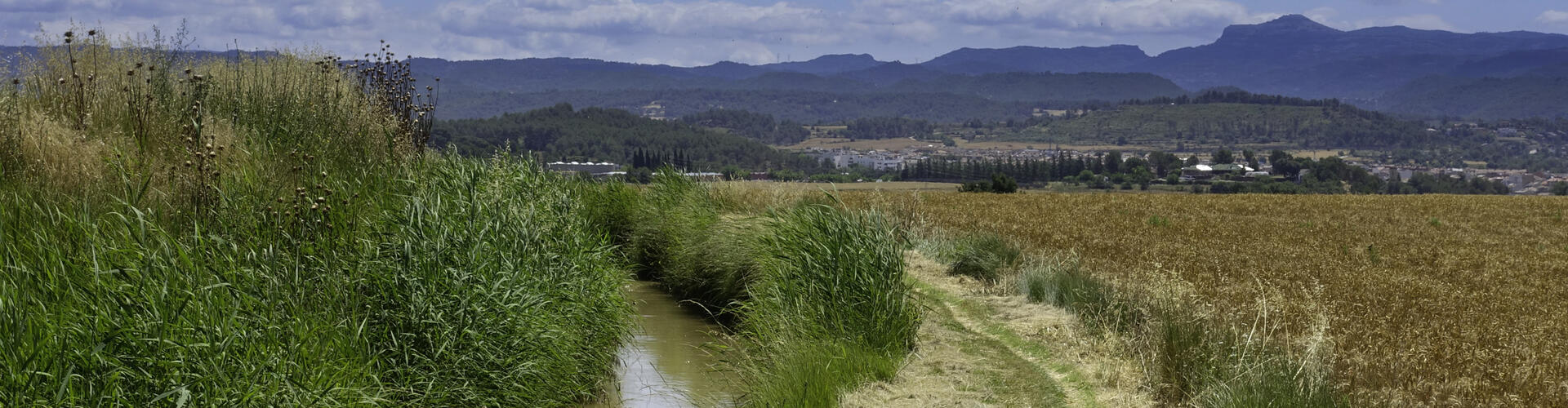 Rutes a SAnt Fruitos de Bages