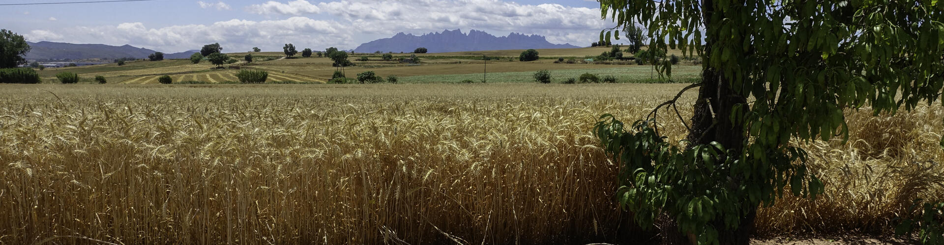 Rutes a SAnt Fruitos de Bages