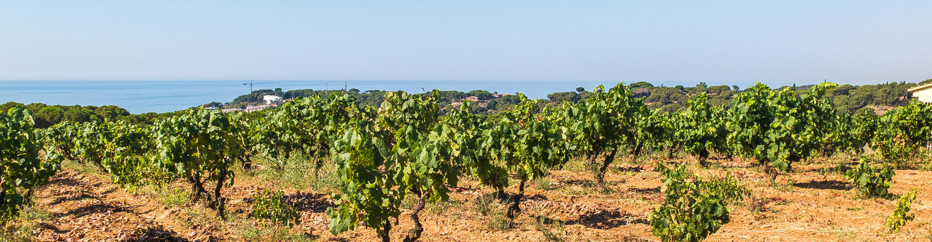 RUTA EL REMEI. SANT VICENÇ DE MONTALT