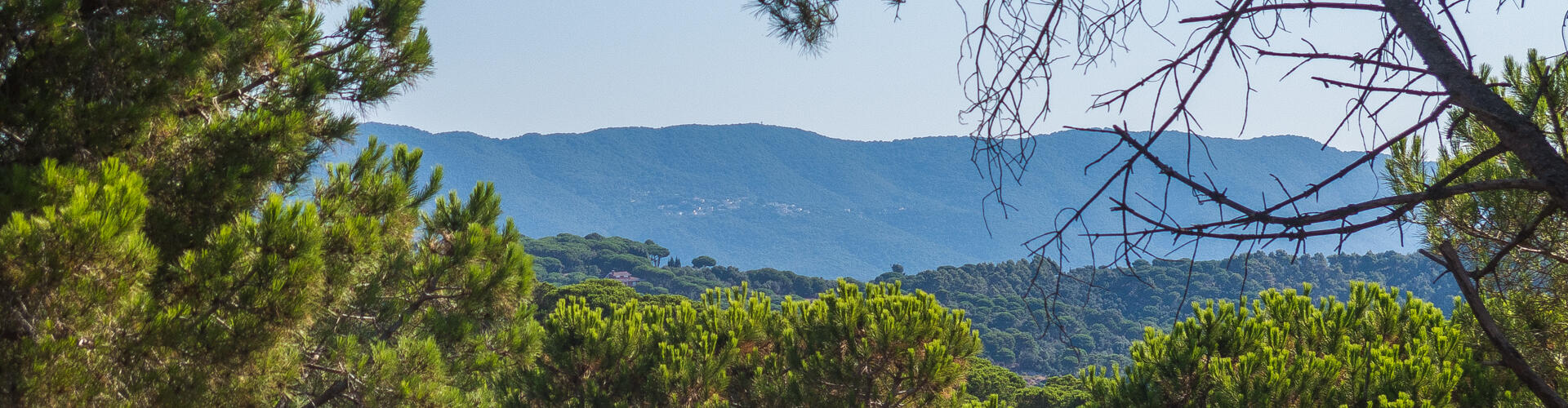 RUTA PARC DELS GABRIELISTES I EL PASSEIG DE MAR. SANT VICENÇ DE MONTALT
