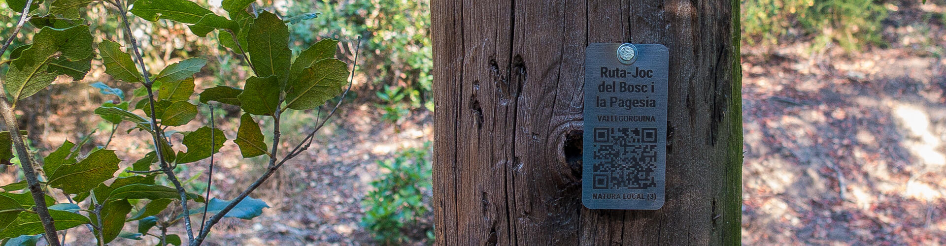 RUTA-JOC DEL BOSC I LA PAGESIA. VALLGORGUINA