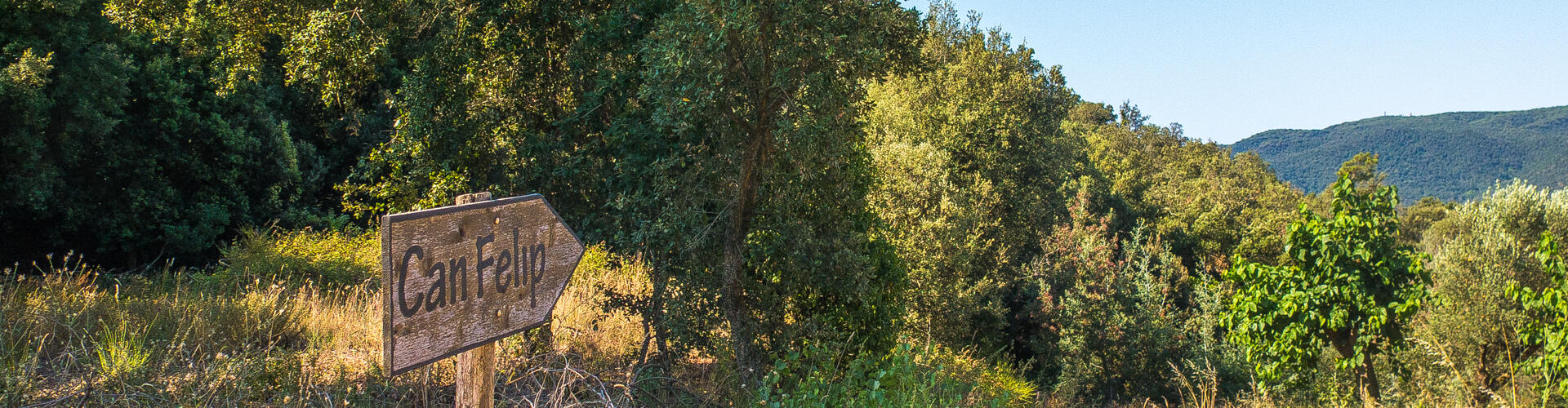 RUTA-JOC DEL BOSC I LA PAGESIA. VALLGORGUINA
