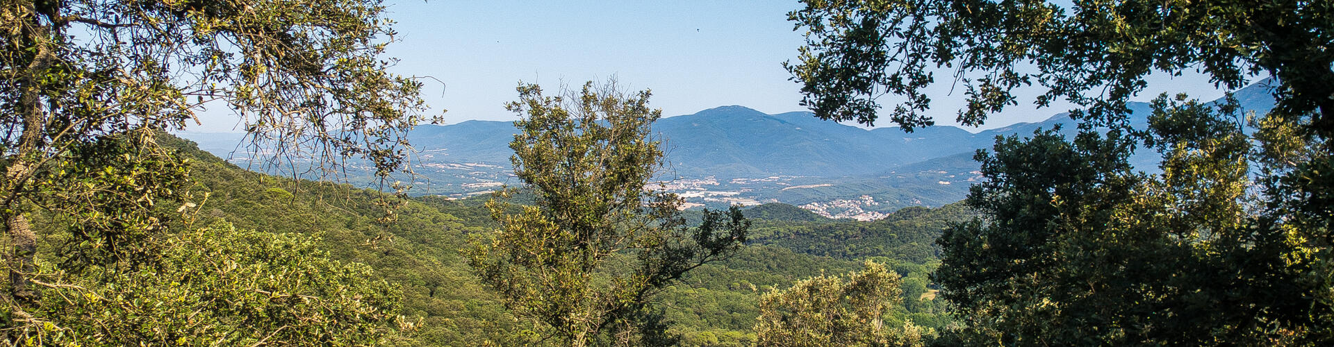 RUTA-JOC DEL BOSC I LA PAGESIA. VALLGORGUINA