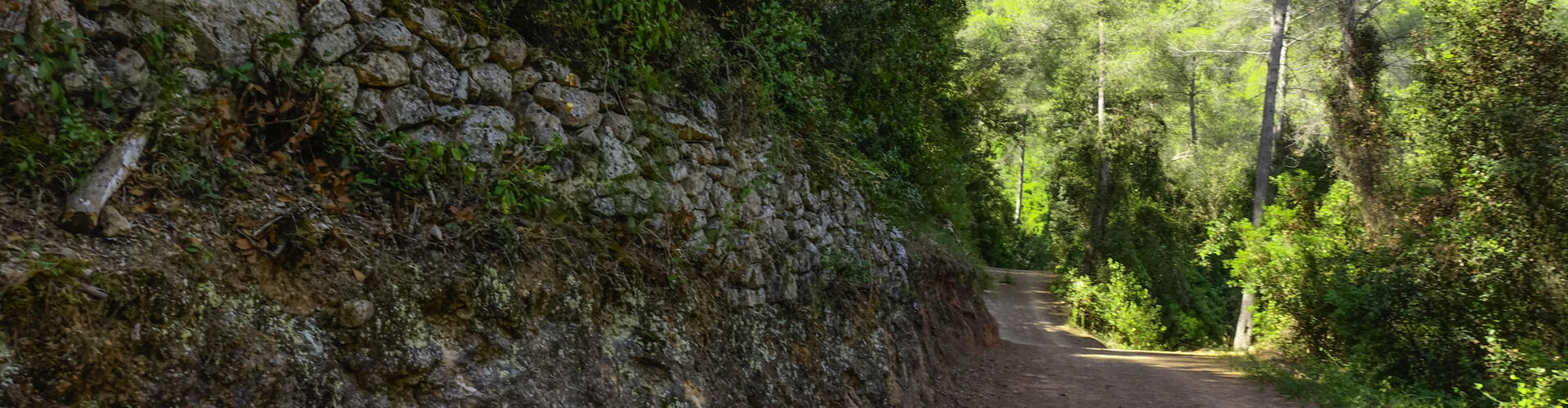 Ruta joc a La Palma 