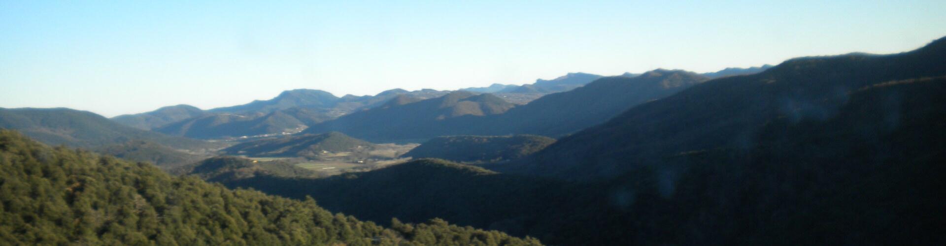 Carenar de les Boixedes cobert de bosc, a l'entorn de Sant Pau de Segúries