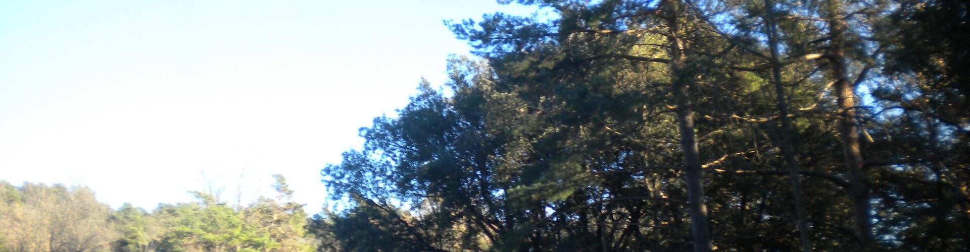 Collada de Capsacosta, pas de la serra entre la vall del Ter i Bianya