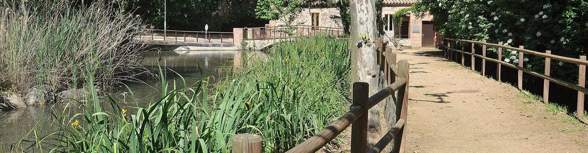 Passeig de fusta vora la riera a la Farga del Roquer, Arbúcies