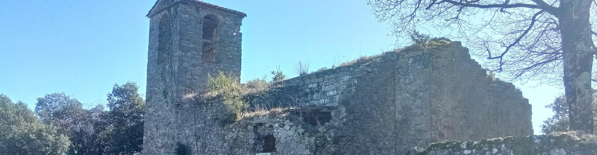 Ruïnes de l'església de Sant Pere Sacosta, Sant Feliu de Pallerols