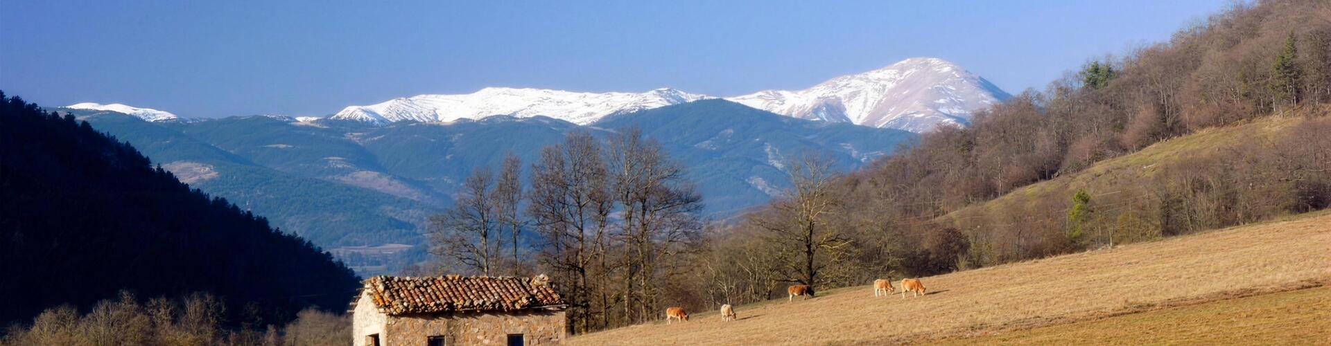 Prats i cabana a prop de Sant Pau Vell amb el Pirineu nevat al fons, Sant Pau de Segúries