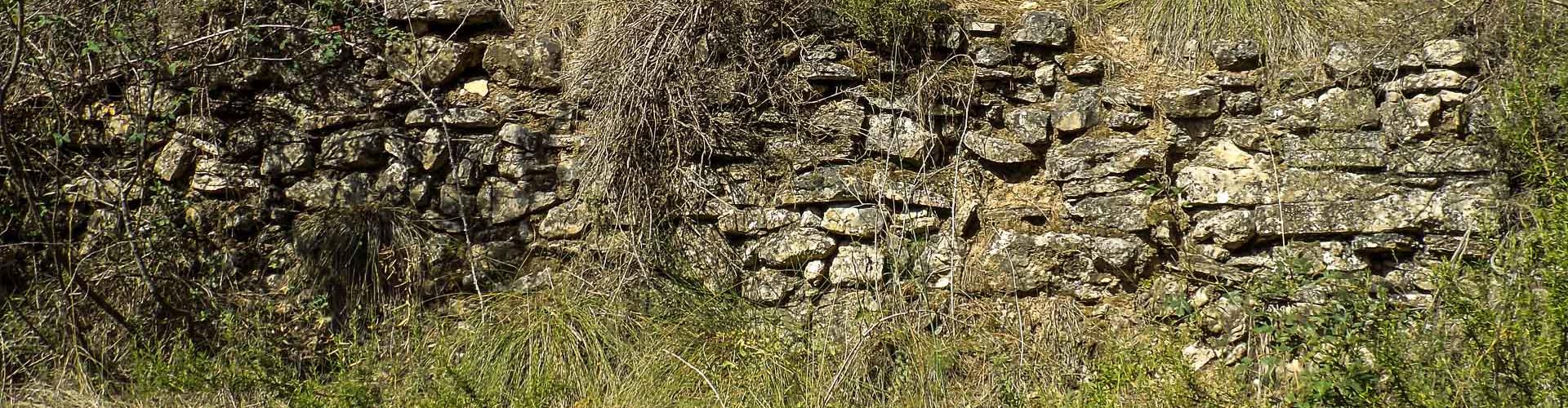Murs de pedra seca a les antigues feixes de vinya