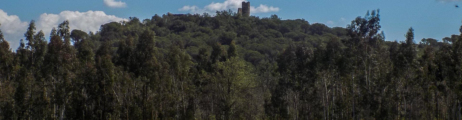 Castell de Sant Iscle des del pla de Vidreres