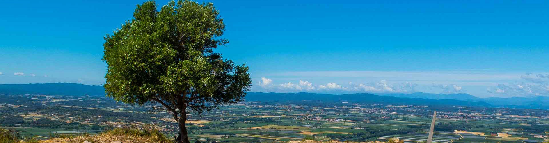 Vistes al Baix Empordà des del Castell del Montgrí.