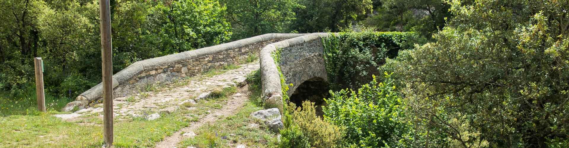 Pont del molí Bernat