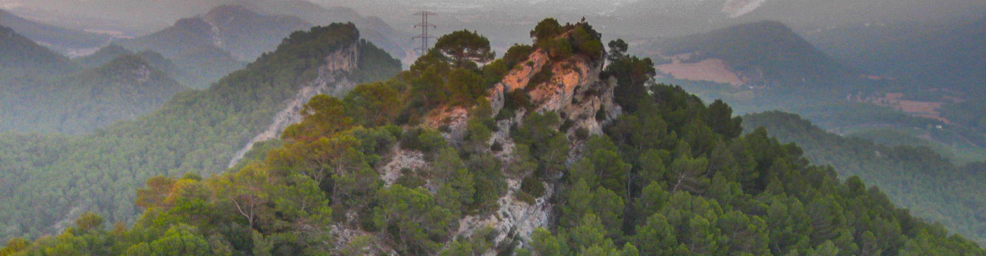 L'Agulla Grossa i la Serra de Miralles.