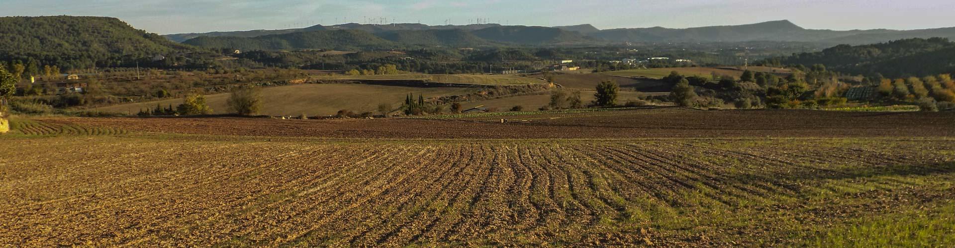 Paisatge agrícola de Sant Martí de Tous
