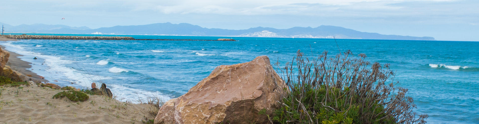 Fonoll marí a la platja d'Empúries amb vistes al Cap de Creus. Parc Natural del Montgrí, Illes Medes i el Baix Ter.