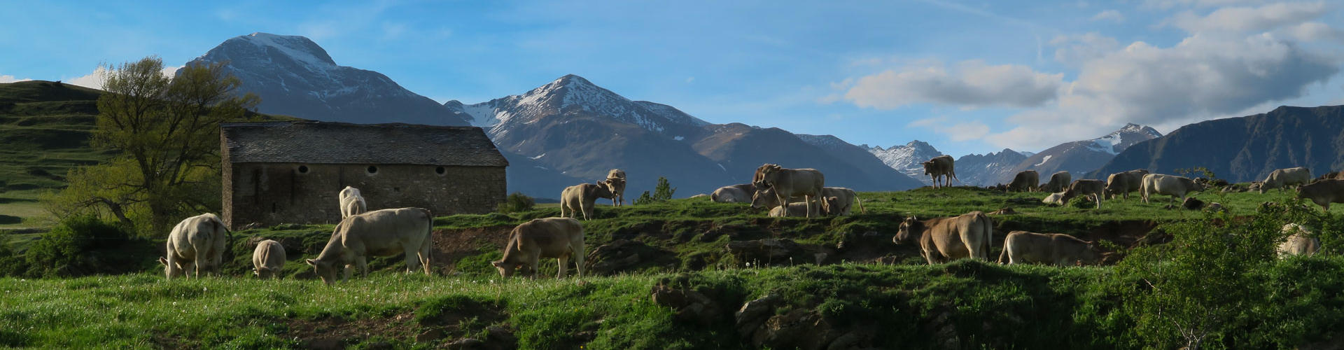 Bordes d'Olp i el Montsent de Pallars