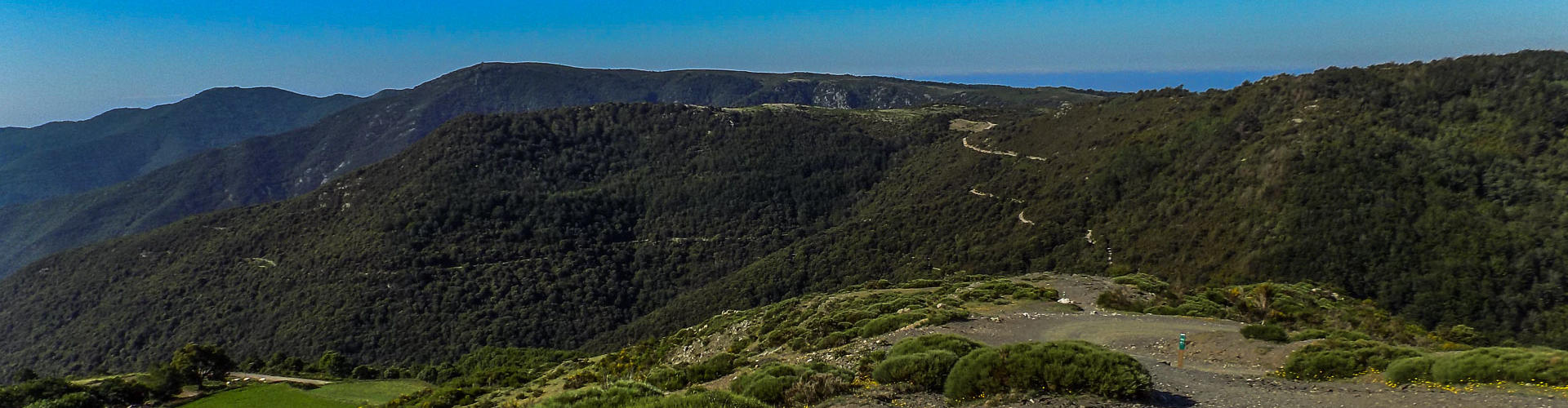 El Puig Ventós i el pla de la Calma des dels vessants del Matagalls
